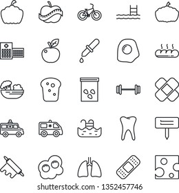 Thin Line Icon Set - plant label vector, pumpkin, seeds, dropper, patch, ambulance car, barbell, bike, lungs, tooth, diet, hospital, pool, salad, bread, rolling pin, omelette, apple fruit, cheese
