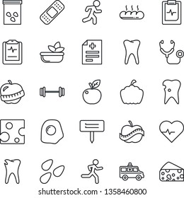 Thin Line Icon Set - plant label vector, pumpkin, seeds, heart pulse, diagnosis, stethoscope, patch, ambulance car, barbell, run, tooth, caries, clipboard, diet, salad, bread, omelette, apple fruit