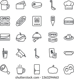 Thin Line Icon Set - plant label vector, pumpkin, diet, fridge, serviette, cook hat, menu, phyto bar, coffee, beer, waiter, open close, credit card, restaurant receipt, steak, ham, hamburger, ladle