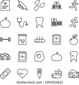 Thin Line Icon Set - plant label vector, pumpkin, seeds, heart pulse, diagnosis, stethoscope, patch, ambulance car, barbell, run, tooth, caries, clipboard, hospital, salad, bread, rolling pin