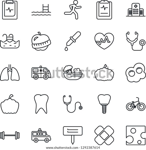 Thin Line Icon Set - plant label vector,\
pumpkin, heart pulse, stethoscope, dropper, patch, ambulance car,\
barbell, bike, run, lungs, tooth, implant, clipboard, diet,\
hospital, pool, salad,\
omelette