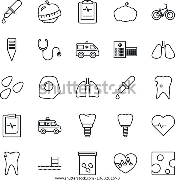 Thin\
Line Icon Set - plant label vector, pumpkin, seeds, heart pulse,\
stethoscope, dropper, ambulance car, bike, lungs, caries, implant,\
clipboard, diet, hospital, pool, omelette,\
cheese