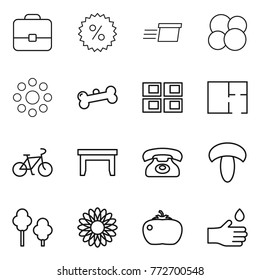 Thin line icon set : portfolio, percent, delivery, atom core, round around, bone, panel house, plan, bike, table, phone, mushroom, trees, flower, tomato, hand drop