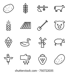 thin line icon set : potato, spikelets, plow, cow, field, shovel, pig, grape, goose, windmill, sheep, scarecrow, sow, strawberry