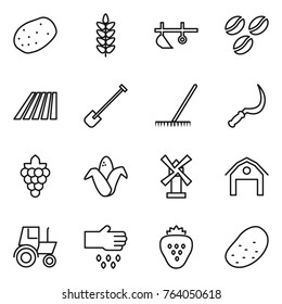 Thin line icon set : potato, spikelets, plow, coffee seeds, field, shovel, rake, sickle, grape, corn, windmill, barn, tractor, sow, strawberry