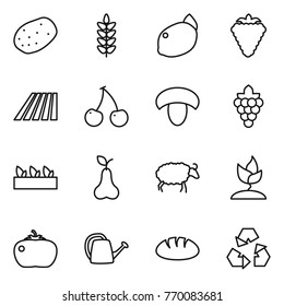 Thin line icon set : potato, spikelets, lemon, berry, field, cherry, mushroom, grape, seedling, pear, sheep, sprouting, tomato, watering can, bread, recycling