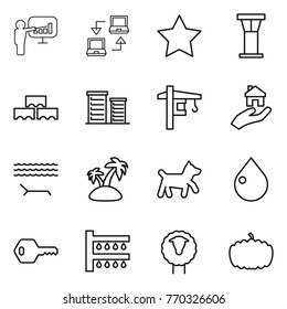 Thin line icon set : presentation, notebook connect, star, airport tower, block wall, district, crane, real estate, lounger, island, dog, drop, key, watering, sheep, pumpkin