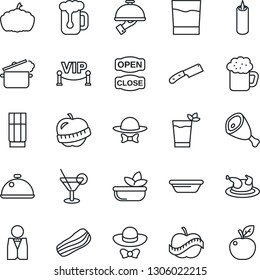 Thin Line Icon Set - pumpkin vector, diet, waiter, dish, drink, cocktail, phyto bar, beer, salad, bacon, candle, vip zone, dress code, open close, chicken, ham, bowl, knife, steaming pan