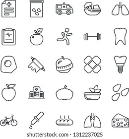 Thin Line Icon Set - pumpkin vector, seeds, diagnosis, dropper, patch, ambulance car, barbell, bike, run, lungs, tooth, implant, pulse clipboard, diet, hospital, salad, bread, rolling pin, omelette