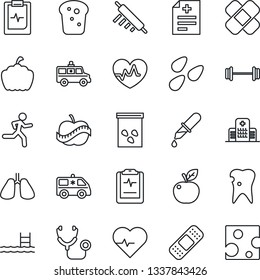 Thin Line Icon Set - pumpkin vector, seeds, heart pulse, diagnosis, stethoscope, dropper, patch, ambulance car, barbell, run, lungs, caries, clipboard, diet, hospital, pool, bread, rolling pin