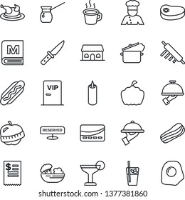 Thin Line Icon Set - pumpkin vector, diet, coffee, cook, menu, reserved, cocktail, phyto bar, salad, bacon, waiter, cafe building, candle, vip zone, credit card, restaurant receipt, chicken, steak