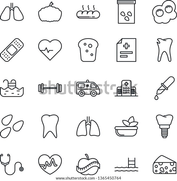 Thin Line Icon Set - pumpkin vector, seeds,\
heart pulse, diagnosis, stethoscope, dropper, patch, ambulance car,\
barbell, lungs, tooth, caries, implant, diet, hospital, pool,\
salad, bread, omelette