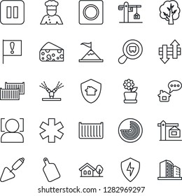 Thin Line Icon Set - radar vector, trowel, tree, ambulance star, important flag, cargo container, search, pause button, protect, record, data exchange, face id, house with, flower in pot, crane