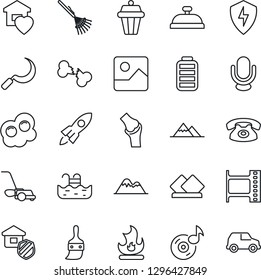 Thin Line Icon Set - rake vector, lawn mower, fire, sickle, joint, broken bone, film frame, microphone, battery, gallery, protect, themes, music, pool, mountains, sweet home, phone, estate insurance