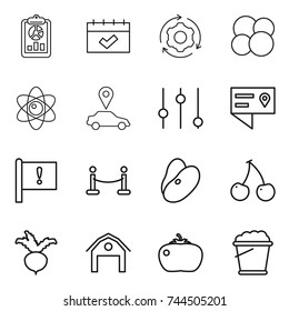 thin line icon set : report, calendar, around gear, atom core, car pointer, equalizer, location details, important flag, vip fence, beans, cherry, beet, barn, tomato, foam bucket