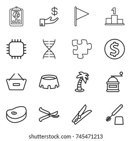 thin line icon set : report, investment, flag, pedestal, chip, dna, puzzle, dollar coin, remove from basket, stadium, palm, hand mill, steak, pruner, clothespin, toilet brush