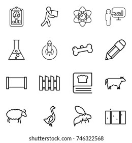 thin line icon set : report, courier, atom, presentation, flask, rocket, bone, pencil, fence, cooking book, cow, sheep, goose, wasp, clean window