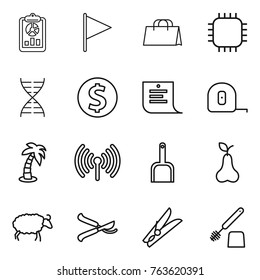 Thin line icon set : report, flag, shopping bag, chip, dna, dollar coin, list, measuring tape, palm, wireless, scoop, pear, sheep, pruner, clothespin, toilet brush