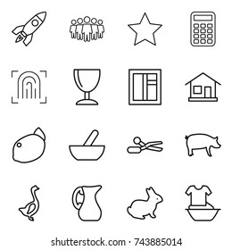 thin line icon set : rocket, team, star, calculator, fingerprint, wineglass, window, home, lemon, mortar, scissors, pig, goose, jug, rabbit, handle washing