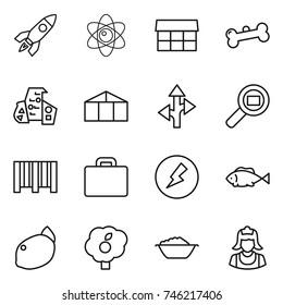 thin line icon set : rocket, atom, market, bone, modern architecture, greenhouse, route, cargo search, bar code, suitcase, electricity, fish, lemon, garden, foam basin, cleaner