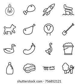 Thin line icon set : rocket, chicken leg, aquapark, dog, sheep, shovel, goose, eggplant, foam bucket, cleanser, sponge with, drying clothe, garden cleaning