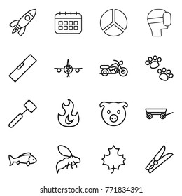Thin line icon set : rocket, calendar, diagram, virtual mask, level, plane, motorcycle, pets, meat hammer, fire, pig, trailer, fish, wasp, maple leaf, clothespin