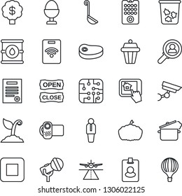 Thin Line Icon Set - runway vector, trash bin, manager, sproute, pumpkin, oil barrel, microphone, video camera, stop button, contract, egg stand, open close, steak, ladle, steaming pan, chip