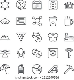 Thin Line Icon Set - runway vector, umbrella, ladder car, coffee, butterfly, pills, molecule, plane, flame disk, microphone, speaker, mobile camera, pie graph, office phone, mountains, garage, tie