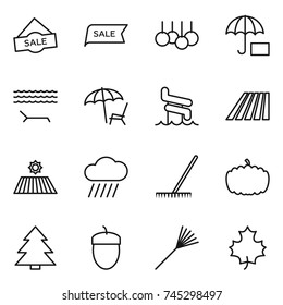 thin line icon set : sale, lounger, aquapark, field, rain cloud, rake, pumpkin, spruce, acorn, maple leaf