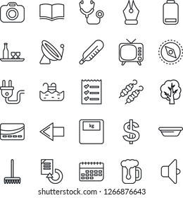 Thin Line Icon Set - satellite antenna vector, left arrow, dollar sign, book, document reload, rake, tree, stethoscope, thermometer, scales, term, camera, tv, low battery, compass, ink pen, pool