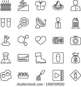 Thin Line Icon Set - satellite antenna vector, male, money bag, garden fork, sproute, boot, butterfly, seedling, blood test vial, search cargo, camera, share, heart, user, video, career ladder, cook
