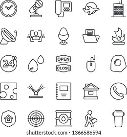 Thin Line Icon Set - satellite antenna vector, 24 around, mouse, fire, house, plane, oil barrel, microphone, copybook, clock, document folder, hr, target, manager, city, phone, estate insurance