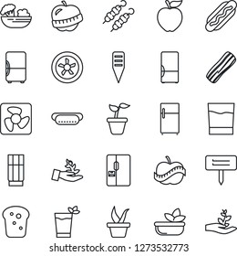 Thin Line Icon Set - seedling vector, plant label, diet, fridge, drink, phyto bar, salad, bacon, bread, kebab, hot dog, apple fruit, fan, palm sproute