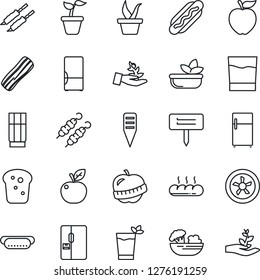 Thin Line Icon Set - seedling vector, plant label, diet, fridge, drink, phyto bar, salad, bacon, bread, kebab, hot dog, apple fruit, fan, palm sproute