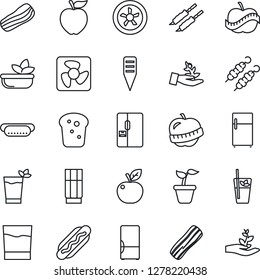 Thin Line Icon Set - seedling vector, plant label, diet, fridge, drink, phyto bar, salad, bacon, bread, kebab, hot dog, apple fruit, fan, palm sproute