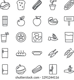 Thin Line Icon Set - seedling vector, plant label, diet, fridge, drink, phyto bar, salad, bacon, bread, kebab, hot dog, apple fruit, fan, palm sproute