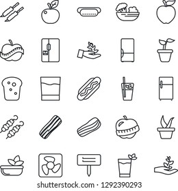 Thin Line Icon Set - seedling vector, plant label, diet, fridge, drink, phyto bar, salad, bacon, bread, kebab, hot dog, apple fruit, fan, palm sproute