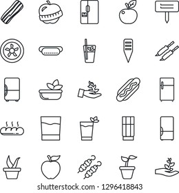 Thin Line Icon Set - seedling vector, plant label, diet, fridge, drink, phyto bar, salad, bacon, bread, kebab, hot dog, apple fruit, fan, palm sproute