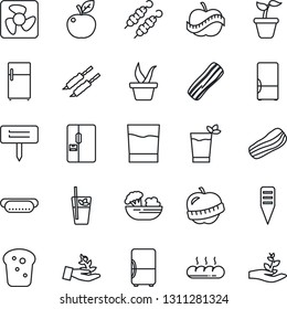 Thin Line Icon Set - seedling vector, plant label, diet, fridge, drink, phyto bar, salad, bacon, bread, kebab, hot dog, apple fruit, fan, palm sproute