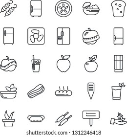 Thin Line Icon Set - seedling vector, plant label, diet, fridge, drink, phyto bar, salad, bacon, bread, kebab, hot dog, apple fruit, fan, palm sproute