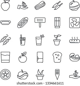 Thin Line Icon Set - seedling vector, plant label, diet, fridge, drink, phyto bar, salad, bacon, bread, kebab, hot dog, apple fruit, fan, palm sproute
