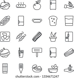 Thin Line Icon Set - seedling vector, plant label, diet, fridge, drink, phyto bar, salad, bacon, bread, kebab, hot dog, apple fruit, fan, palm sproute