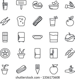 Thin Line Icon Set - seedling vector, plant label, diet, fridge, drink, phyto bar, salad, bacon, bread, kebab, hot dog, apple fruit, fan, palm sproute