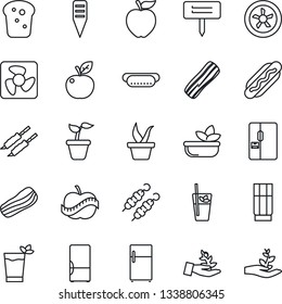 Thin Line Icon Set - seedling vector, plant label, diet, fridge, drink, phyto bar, salad, bacon, bread, kebab, hot dog, apple fruit, fan, palm sproute
