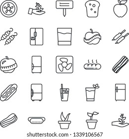 Thin Line Icon Set - seedling vector, plant label, diet, fridge, drink, phyto bar, bacon, bread, kebab, hot dog, apple fruit, fan, palm sproute