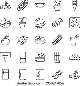 Thin Line Icon Set - seedling vector, plant label, diet, fridge, drink, phyto bar, salad, bacon, bread, kebab, hot dog, apple fruit, fan, palm sproute