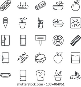 Thin Line Icon Set - seedling vector, plant label, diet, fridge, drink, phyto bar, salad, bacon, bread, kebab, hot dog, apple fruit, fan, palm sproute