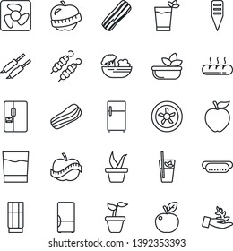 Thin Line Icon Set - seedling vector, plant label, diet, fridge, drink, phyto bar, salad, bacon, bread, kebab, hot dog, apple fruit, fan, palm sproute