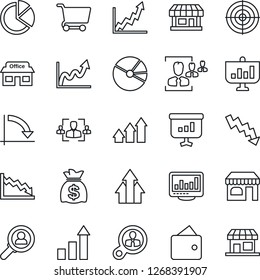 Thin Line Icon Set - shop vector, growth statistic, money bag, crisis graph, store, monitor statistics, pie, hr, target, consumer search, arrow up, wallet, cart, presentation, storefront