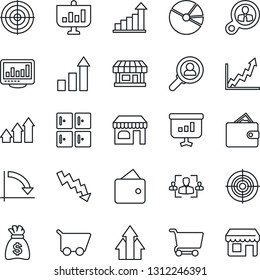 Thin Line Icon Set - shop vector, checkroom, growth statistic, money bag, crisis graph, store, monitor statistics, pie, hr, target, consumer search, arrow up, wallet, cart, presentation, storefront